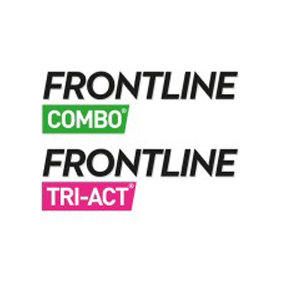 frontline logo castelfranco veneto