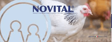 novital logo castelfranco veneto