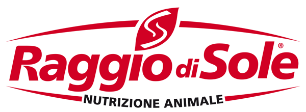 raggio-di-sole_logo castelfranco veneto