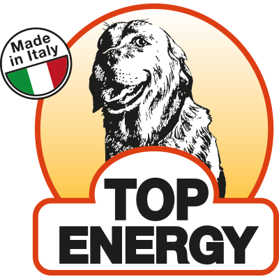 top energy logo castelfranco veneto