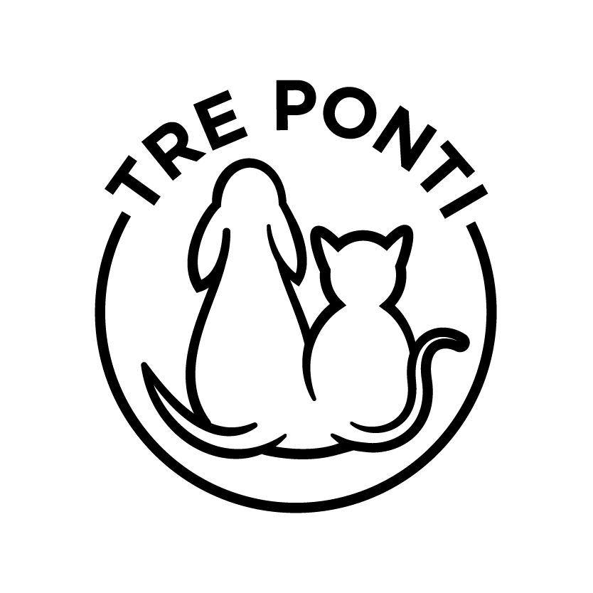 tre ponti logo castelfranco veneto