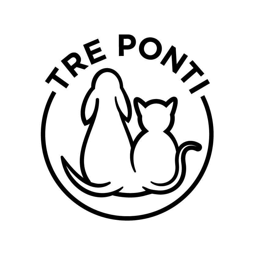 tre ponti logo castelfranco veneto