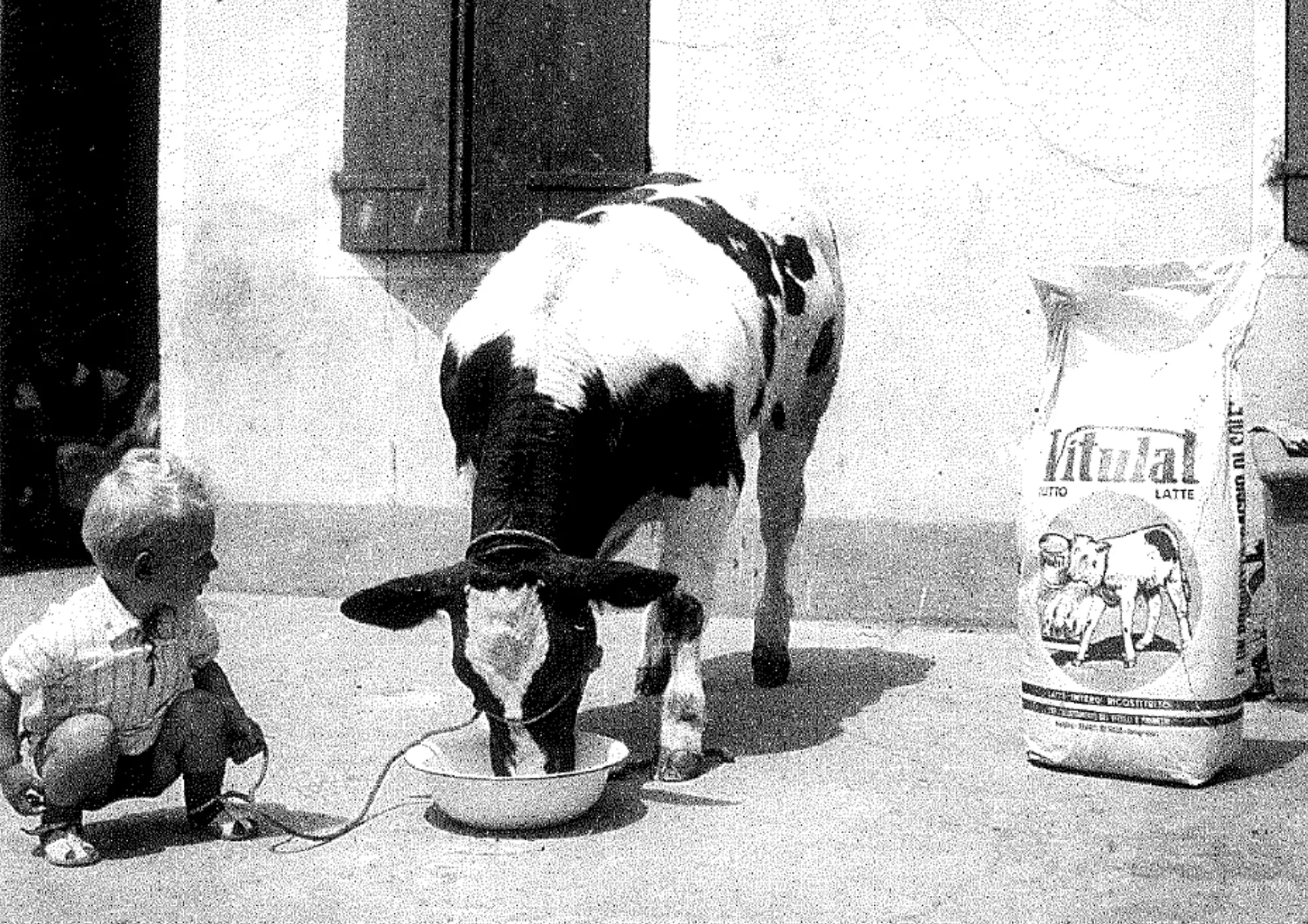 La storia della Coperativa San Gottardo
