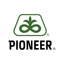 pioneer logo castelfranco veneto